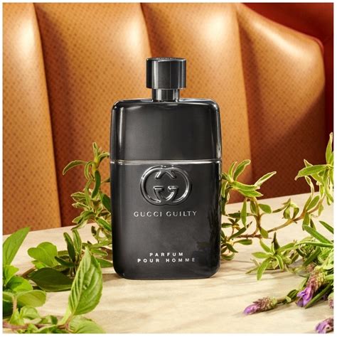 gucci guilty eau de parfum pour homme fragrantica|where to buy gucci guilty.